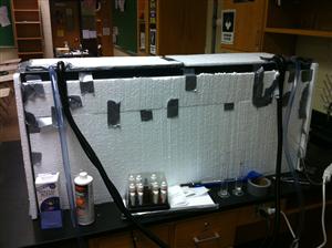 Back of Tank 